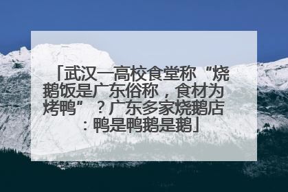 武汉一高校食堂称“烧鹅饭是广东俗称，食材为烤鸭”？广东多家烧鹅店：鸭是鸭鹅是鹅