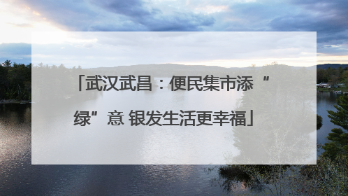 武汉武昌：便民集市添“绿”意 银发生活更幸福