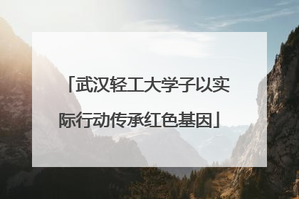 武汉轻工大学子以实际行动传承红色基因