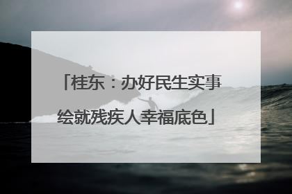 桂东：办好民生实事 绘就残疾人幸福底色