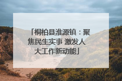 桐柏县淮源镇：聚焦民生实事 激发人大工作新动能