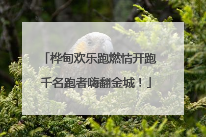桦甸欢乐跑燃情开跑 千名跑者嗨翻金城！