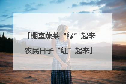 棚室蔬菜“绿”起来 农民日子“红”起来