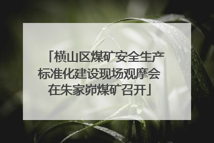横山区煤矿安全生产标准化建设现场观摩会在朱家峁煤矿召开