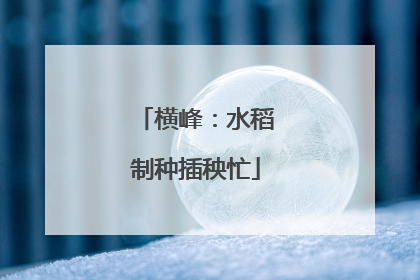 横峰：水稻制种插秧忙