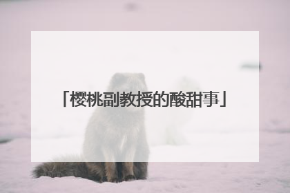 樱桃副教授的酸甜事