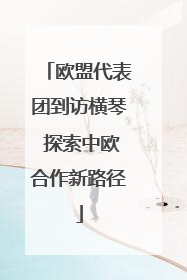 欧盟代表团到访横琴 探索中欧合作新路径