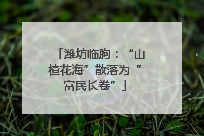 潍坊临朐：“山楂花海”散落为“富民长卷”