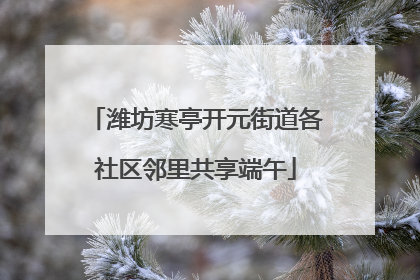 潍坊寒亭开元街道各社区邻里共享端午