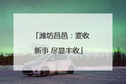 潍坊昌邑：麦收新事 尽显丰收