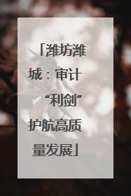 潍坊潍城：审计“利剑”护航高质量发展