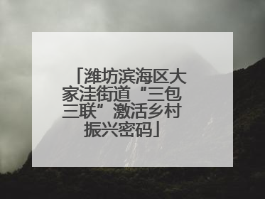 潍坊滨海区大家洼街道“三包三联”激活乡村振兴密码