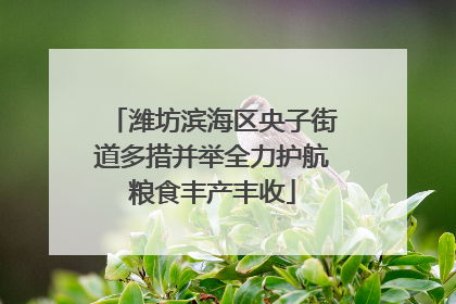 潍坊滨海区央子街道多措并举全力护航粮食丰产丰收