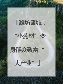 潍坊诸城：“小药材”变身群众致富“大产业”