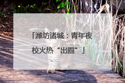 潍坊诸城：青年夜校火热“出圈”