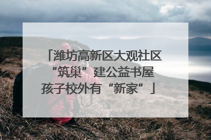 潍坊高新区大观社区“筑巢”建公益书屋 孩子校外有“新家”