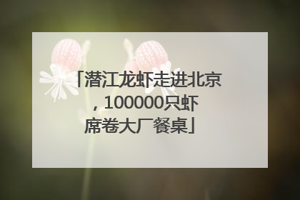 潜江龙虾走进北京，100000只虾席卷大厂餐桌