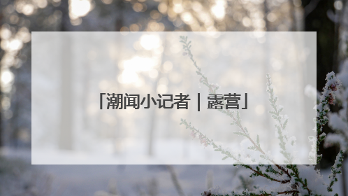 潮闻小记者｜露营