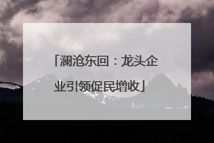 澜沧东回：龙头企业引领促民增收