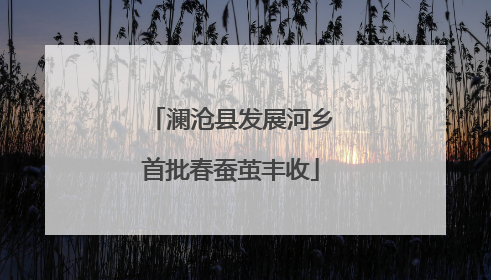 澜沧县发展河乡首批春蚕茧丰收