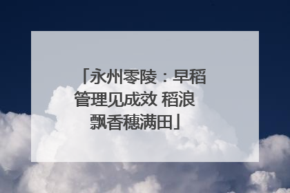 永州零陵：早稻管理见成效 稻浪飘香穗满田