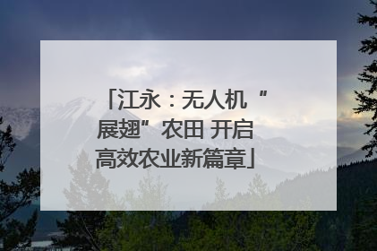江永：无人机“展翅”农田 开启高效农业新篇章
