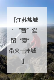 江苏盐城：“音”爱留“夏” 带火一座城