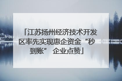 江苏扬州经济技术开发区率先实现惠企资金“秒到账” 企业点赞