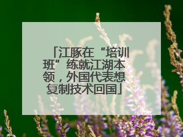 江豚在“培训班”练就江湖本领，外国代表想复制技术回国