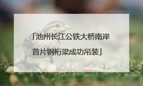 池州长江公铁大桥南岸首片钢桁梁成功吊装