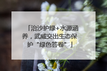 治沙护绿+水源涵养，武威交出生态保护“绿色答卷”