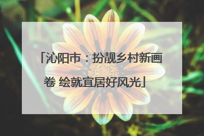 沁阳市：扮靓乡村新画卷 绘就宜居好风光