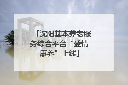 沈阳基本养老服务综合平台“盛情康养”上线
