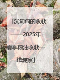 沉甸甸的收获——2025年夏季粮油收获一线观察