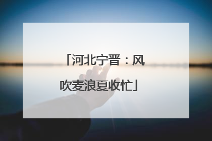 河北宁晋：风吹麦浪夏收忙