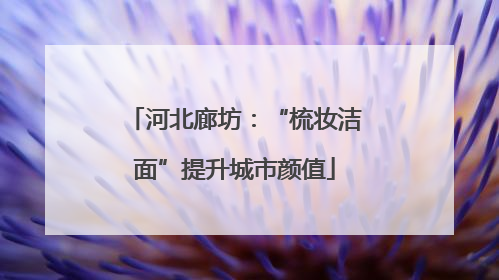 河北廊坊：“梳妆洁面”提升城市颜值