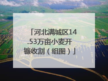 河北满城区14.53万亩小麦开镰收割（组图）