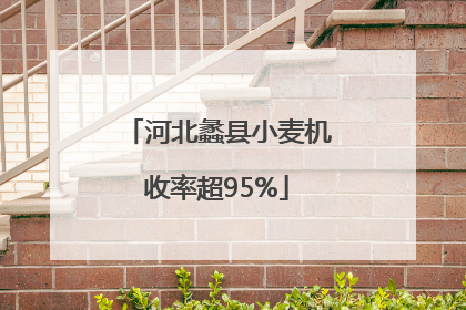 河北蠡县小麦机收率超95%