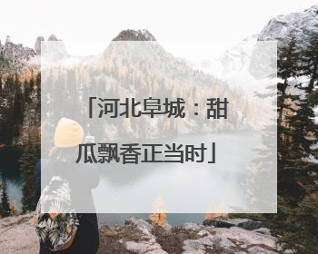 河北阜城：甜瓜飘香正当时