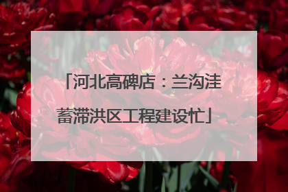 河北高碑店：兰沟洼蓄滞洪区工程建设忙