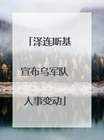 泽连斯基宣布乌军队人事变动