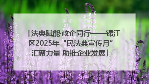 法典赋能·政企同行——锦江区2025年“民法典宣传月”汇聚力量 助推企业发展