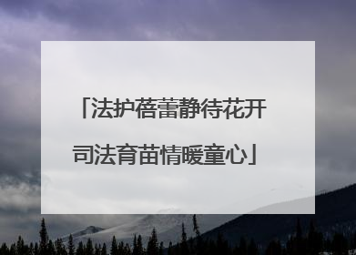 法护蓓蕾静待花开 司法育苗情暖童心