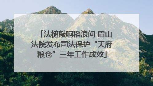 法槌敲响稻浪间 眉山法院发布司法保护“天府粮仓”三年工作成效