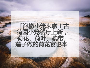 泡椒小笼来啦！古猗园小笼餐厅上新，荷花、荷叶、藕带、莲子做的荷花宴也来尝一下？