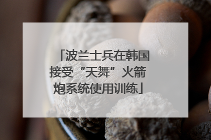 波兰士兵在韩国接受“天舞”火箭炮系统使用训练