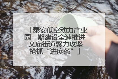 泰安低空动力产业园一期建设全速推进 文庙街道聚力攻坚抢抓“进度条”