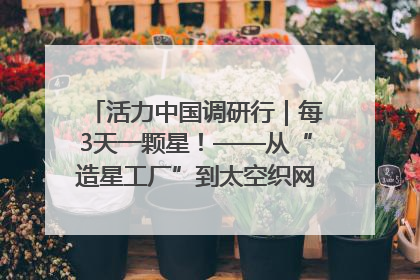 活力中国调研行｜每3天一颗星！——从“造星工厂”到太空织网的“银河速度”