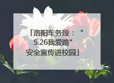 洛阳车务段：“5.26我爱路”安全宣传进校园