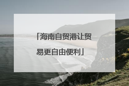 海南自贸港让贸易更自由便利